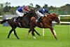 Economics wins the 2024 Irish Champion Stakes at Leopardstown