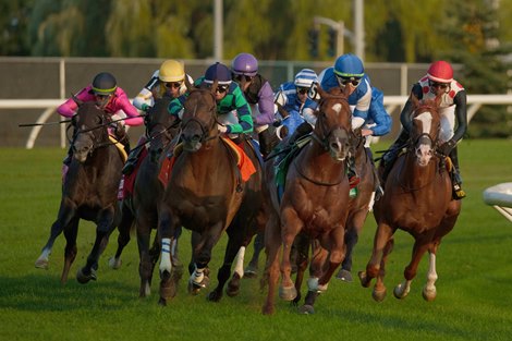 Woodbine Sees Increased Turf Champions Day Wagering