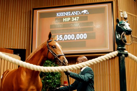 Hip 347, a Curlin colt out of Cavorting, sells for $5 million to top the record-breaking 2024 Keeneland September Yearling Sale