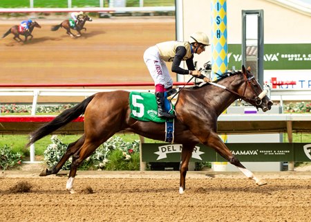 Hot Girl Walk becomes Bodexpress' first stakes winner Sept. 2 at Del Mar