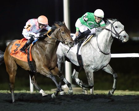 Roses for Debra defeats Pandora's Gift in track-record time in the Presque Isle Downs Masters Stakes at Presque Isle Downs