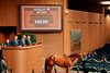 Hip 3375, 2024 Keeneland September Sale