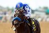 Baoma Corp.&#39;s Tenma and jockey Kazushi Kimura, win the Grade I $300,000 FanDuel Racing Del Mar Debutante Saturday September 7, 2024 at Del Mar Thoroughbred Club, Del Mar, CA.
Benoit Photo