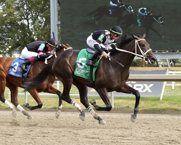 Five a Side - Horse Profile - BloodHorse