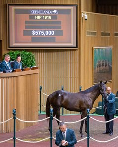 Hip 1916, a colt by Maxfield, sold for a session-topping $575,000 during the conclusion of Book 3 at the Keeneland September Yearling Sale. 