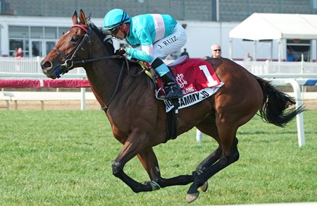 No Show Sammy Jo wins the All Along Stakes at Laurel Park