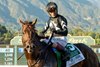 Jockey John Velazquez guides Straight No Chaser to the winner&#39;s circle after their victory in the Grade II, $200,000 Santa Anita Sprint Championship, Sunday, September 29, 2024 at Santa Anita Park, Arcadia CA.
&#169; BENOIT PHOTO