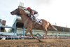 Jockey Jose Campos guides Vitality to victory in the Prince of Wales Stakes at Ft. Eerie Racetrack on September 10, 2024. Michael Burns Photo