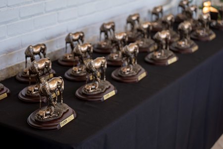 TOBA Awards for top state and Canadian breeders