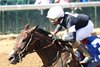 La Cara wins the 2024 Pocahontas Stakes at Churchill Downs