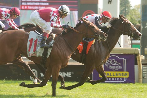 And One More Time, New Century Victorious at Woodbine