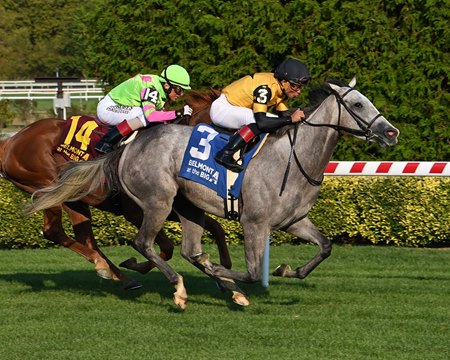 Les Reys wins the Winter Memories Stakes at Aqueduct Racetrack