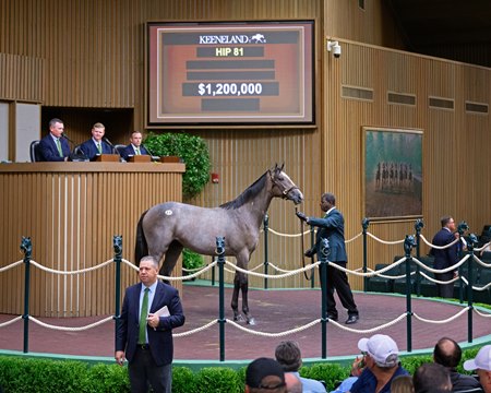 The Tapit filly consigned as Hip 81 in the ring at the Keeneland September Sale