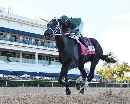 Rated by Merit wins the FTBOA Florida Sire Dr. Fager Stakes at Gulfstream Park