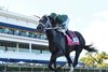 Rated by Merit wins the 2024 FTBOA Florida Sire Dr. Fager Stakes at Gulfstream Park                             