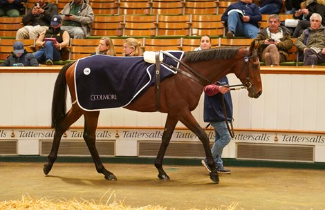 Delius Breaks Autumn Horses in Training Sale Record