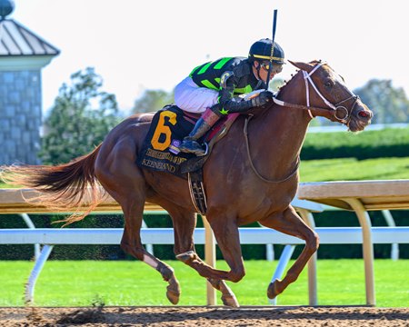 Zeitlos wins the 2024 Thoroughbred Club of America Stakes at Keeneland