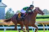 Zeitlos with Jose Ortiz wins the Thoroughbred Club of America (G2) at Keeneland in Lexington, Ky. on October 5, 2024
