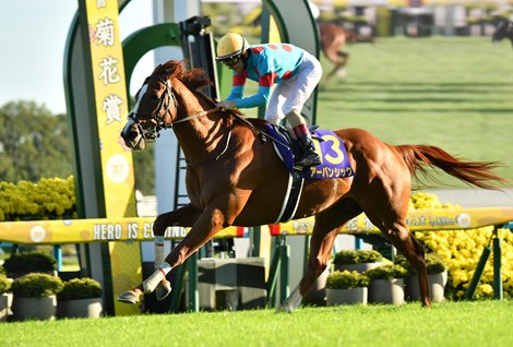 Urban Chic Tops Japan’s 3-Year-Olds With St. Leger Win