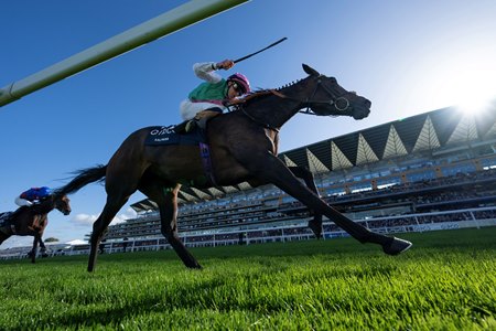 Kalpana wins the British Champions Fillies & Mares Stakes at Ascot Racecourse