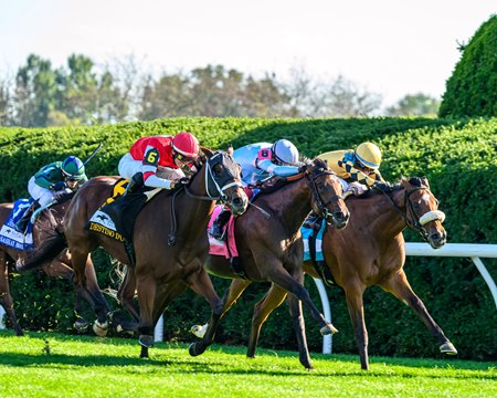 May Day Ready (between horses), with Totally Justified to her inside and Destino d'Oro on the outside, wins the Jessamine Stakes at Keeneland 