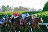 May Day Ready with Lanfranco Dettori wins the Jessamine Stakes (G2T) Presented by Keeneland Sales at Keeneland in Lexington, Ky. on October 4, 2024
