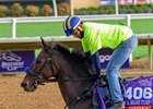 Didia
Breeders’ Cup contenders training at Del Mar in Del Mar, California, on Oct. 27, 2024. 