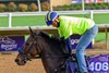 Didia
Breeders’ Cup contenders training at Del Mar in Del Mar, California, on Oct. 27, 2024. 