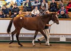 Lot 68 Frankel (GB) / Aljazzi (GB) B.F. (GB)	Newsells Park Stud Ltd.	Amo Racing Ltd	4,400,000
Tattersalls 
October Yearling Sale
Book 1
2024-10-08
