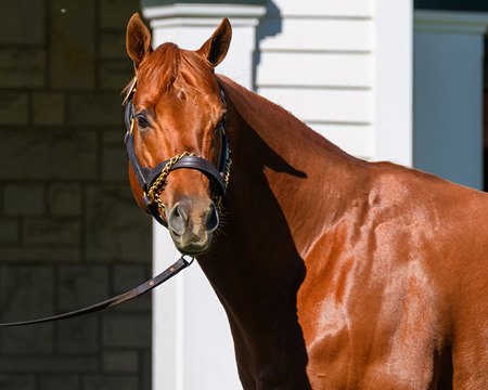 Vekoma at Spendthrift Farm