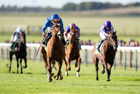 Desert Flower wins the 2024 Fillies Mile, over the same course and distance as the One Thousand Guineas, at Newmarket Racecourse