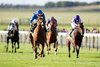 Desert Flower (William Buick) wins the Fillies&#39; Mile
Newmarket 11.10.24 Pic: Edward Whitaker