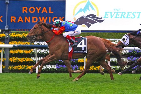 Bella Nipotina becomes the first female horse to win The Everest at Randwick Racecourse