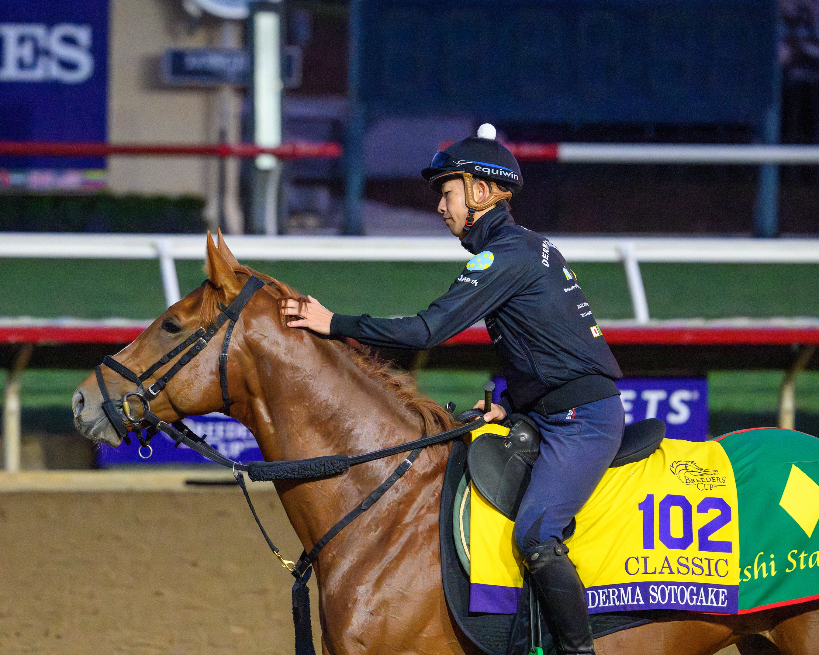 Meet the Field for the 2024 Breeders' Cup Classic - Slideshow