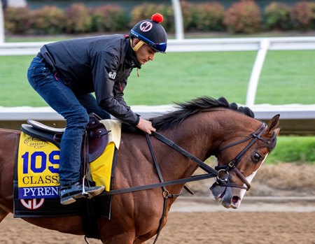 Pyrenees gallops last fall at Del Mar