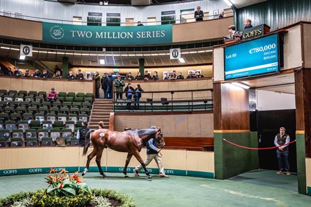 The 2024 Goffs Orby Sale