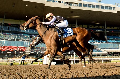 A Game Lights Up Toteboard in Ontario Fashion Stakes