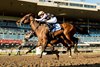 Jockey Fraser Aebly guides A Game to victory in the 2024 Ontario Fashion Stakes