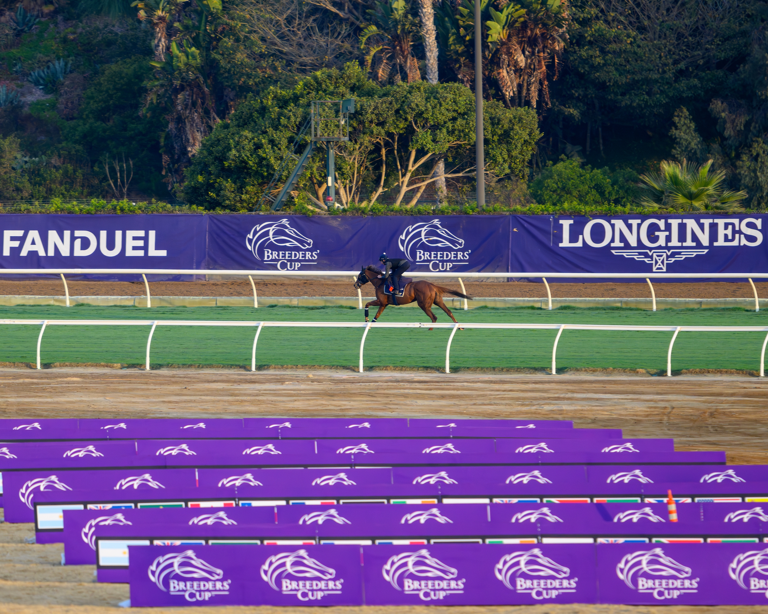 Previews, interviews, results for the Breeders' Cup World