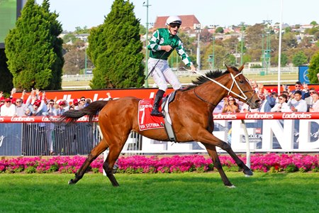 Rider James McDonald celebrates a record-breaking Cox Plate victory aboard European import Via Sistina at Moonee Valley Racecourse