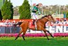 Via Sistina wins the 2024 Cox Plate at Moonee Valley Racecourse
ridden by James McDonald and trained by Chris Waller