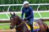 Sierra Leone
Breeders’ Cup contenders training at Del Mar in Del Mar, California, on Oct. 28, 2024. 