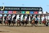 Crosley wins the 2024 ITOBA Stallion Season Fillies Handicap at Horseshoe Indianapolis