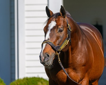Into Mischief at Spendthrift Farm