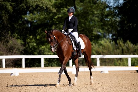 Decorated Invader and Mary Termer compete at the USDF Region 2 Championships 