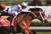 Big Brown with jockey Kent Desormeaux breaks away from the pack on his way to winning the 134th Kentucky Derby.