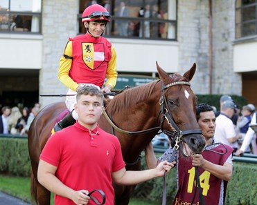 Brunacini - Horse Profile - BloodHorse