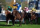 Anmaat (Jim Crowley) wins the Champion Stakes
Ascot 19.10.24 Pic: Edward Whitaker