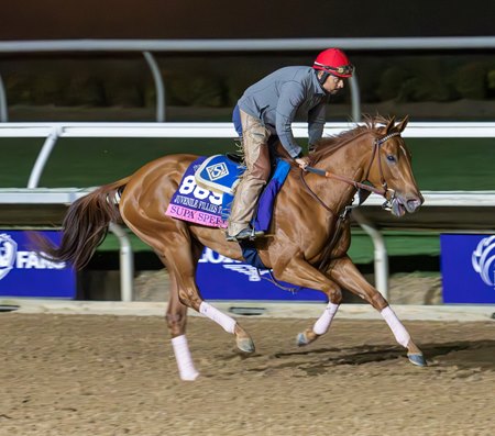 Supa Speed, who failed to draw into the main field of the Breeders' Cup Juvenile Fillies Turf, trains at Del Mar