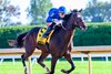 East Avenue with Tyler Gaffalione wins the Claiborne Breeders’ Futurity (G1) at Keeneland in Lexington, Ky. on October 5, 2024
